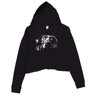 Pentagram Sigil Devil Crop Fleece Hoodie