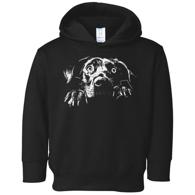 Pentagram Sigil Devil Toddler Hoodie