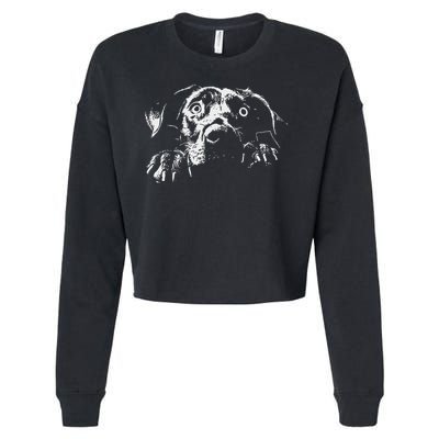 Pentagram Sigil Devil Cropped Pullover Crew