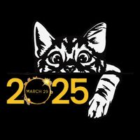Partial Solar Eclipse March 29 2025 Solar Eclipse 2025 Cat Daily Commute Backpack