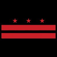 Patriotic State Flag Of Washington Dc Magnet
