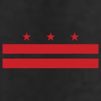 Patriotic State Flag Of Washington Dc Golf Towel