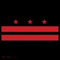Patriotic State Flag Of Washington Dc Kids T-Shirt