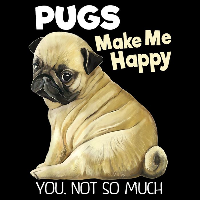 Pug Shirt Funny Tshirt Pugs Make Me Happy You Not So Much Short Acrylic Beanie
