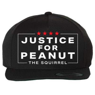 Peanut Squirrel Funny Justice For Peanut The Squirrel Gift Wool Snapback Cap