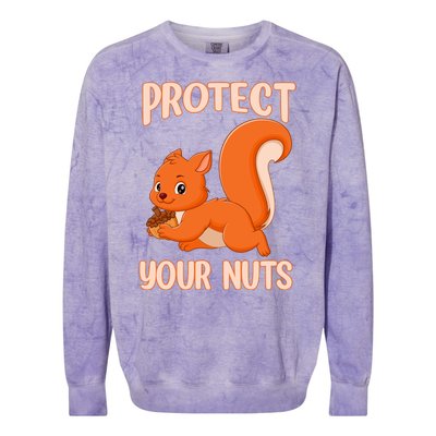 Perfect Squirrel Funny Squirrel Protect Your Nuts Colorblast Crewneck Sweatshirt