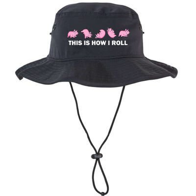Pig Swine Farm Animal Funny This Is How I Roll Pig Bucket Hat