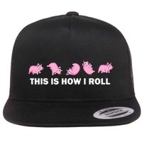 Pig Swine Farm Animal Funny This Is How I Roll Pig Flatbill Hat