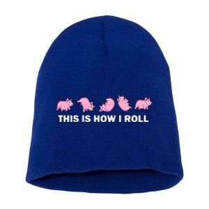 Pig Swine Farm Animal Funny This Is How I Roll Pig Short Acrylic Beanie