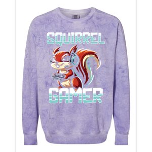 Pc Squirrel Gamer Keyboard Video Computer Gaming Lovers Cute Gift Colorblast Crewneck Sweatshirt