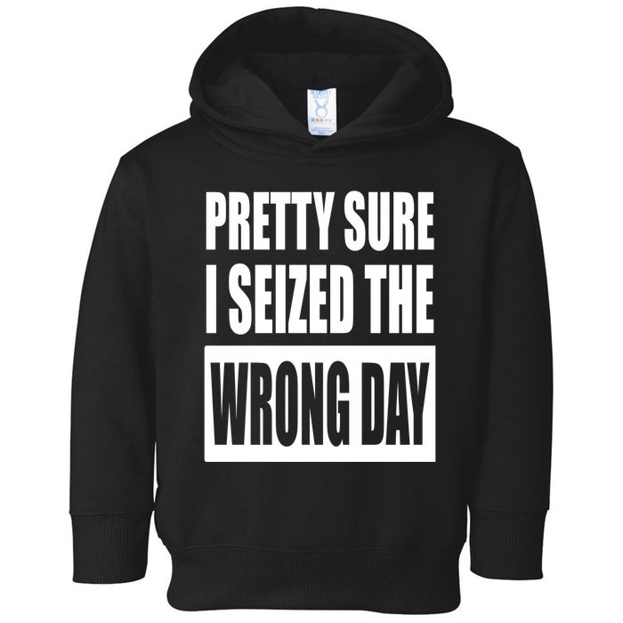 Pretty Sure I Seized The Wrong Day Funny Saying Toddler Hoodie