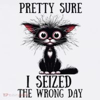 Pretty Sure I Seized The Wrong Day Poster