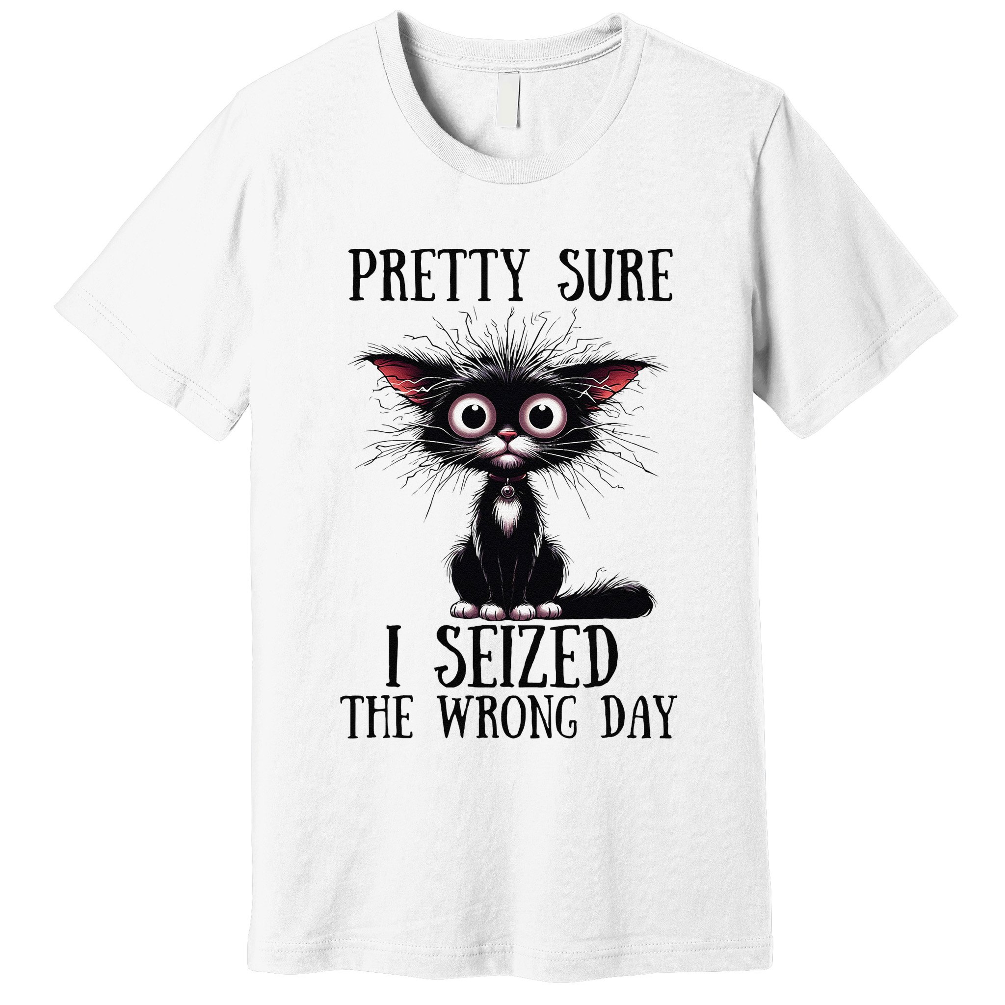 Pretty Sure I Seized The Wrong Day Premium T-Shirt