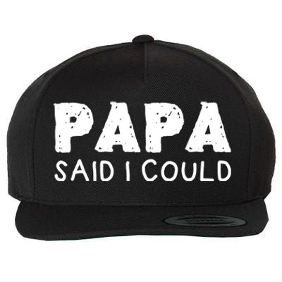 Papa Said I Could Funny Design Gift Wool Snapback Cap