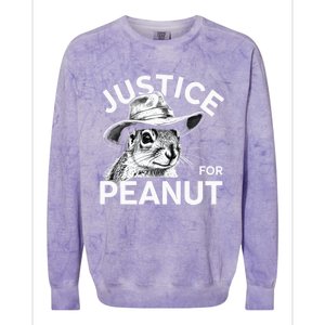 Peanut Squirrel Justice For Peanut Colorblast Crewneck Sweatshirt