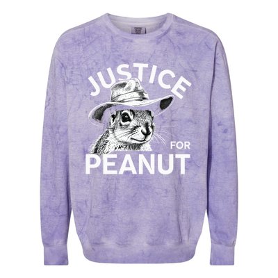 Peanut Squirrel Justice For Peanut Colorblast Crewneck Sweatshirt