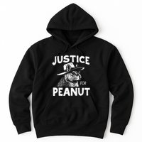 Peanut Squirrel Justice For Peanut Hoodie