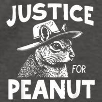 Peanut Squirrel Justice For Peanut Vector Backpack