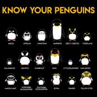 Penguin Species Know Your Penguins Gift Impact Tech Backpack