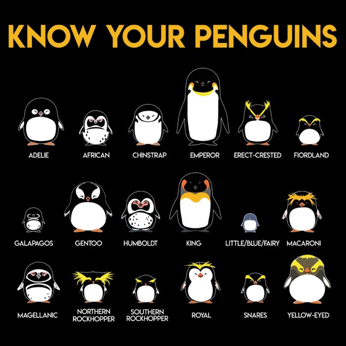 Penguin Species Know Your Penguins Gift Impact Tech Backpack