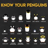 Penguin Species Know Your Penguins Gift Adult Drive Performance Visor