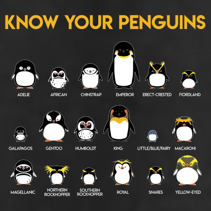 Penguin Species Know Your Penguins Gift Adult Drive Performance Visor