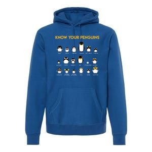 Penguin Species Know Your Penguins Gift Premium Hoodie