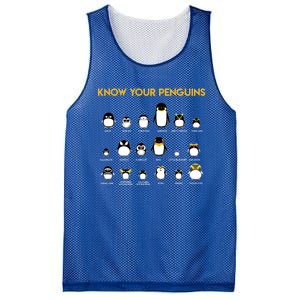 Penguin Species Know Your Penguins Gift Mesh Reversible Basketball Jersey Tank