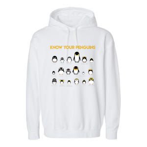 Penguin Species Know Your Penguins Gift Garment-Dyed Fleece Hoodie