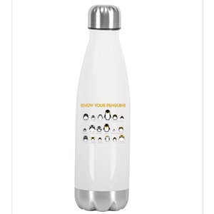 Penguin Species Know Your Penguins Gift Stainless Steel Insulated Water Bottle