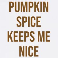 Pumpkin Spice Keeps Me Nice Funny Fall Cropped Pullover Crew