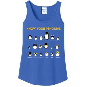 Penguin Species Know Your Penguins Gift Funny Gift Ladies Essential Tank