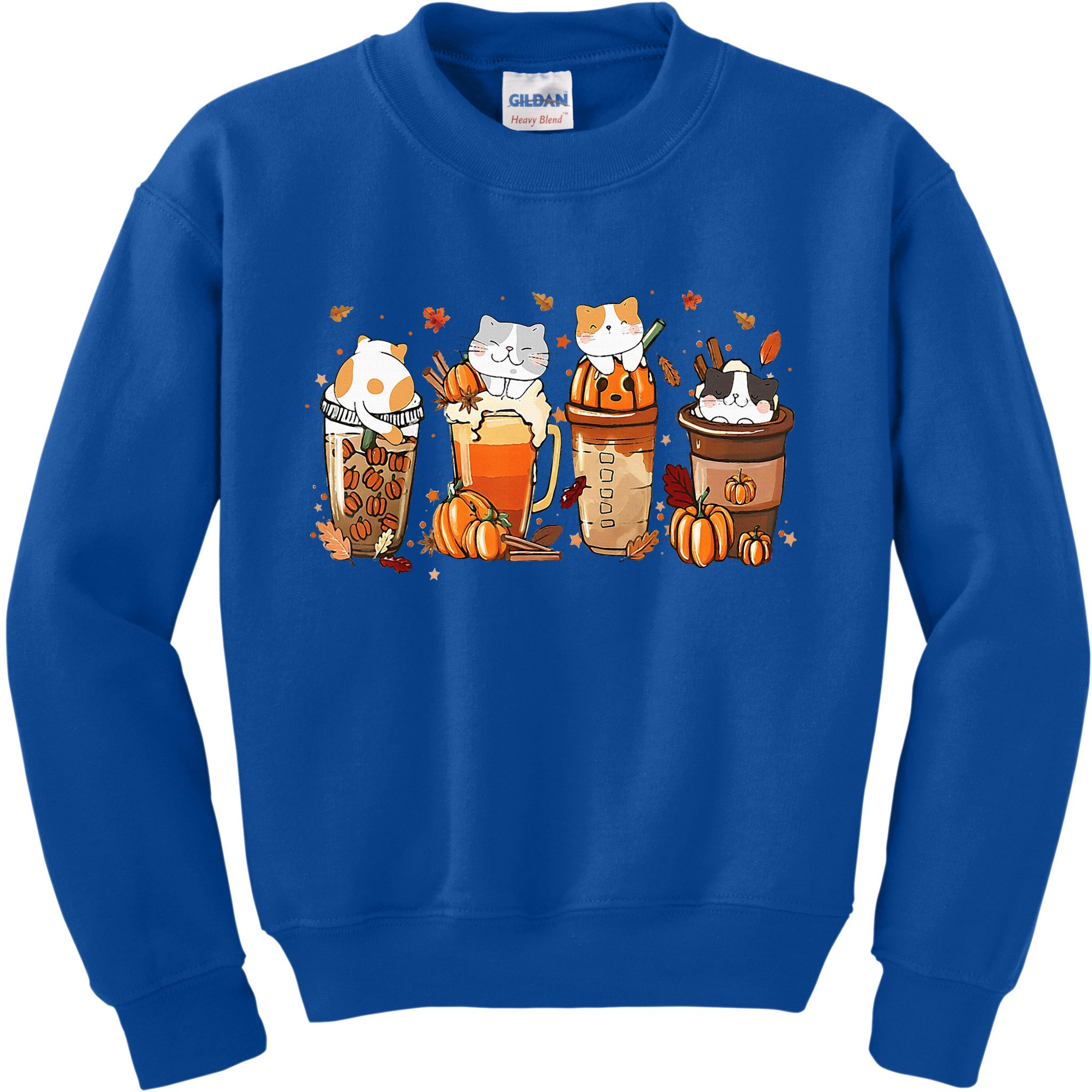 Pumpkin Spice Latte Costume For Cats Lover Kids Sweatshirt