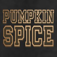 Pumpkin Spice Lover Fall Adult Drive Performance Visor
