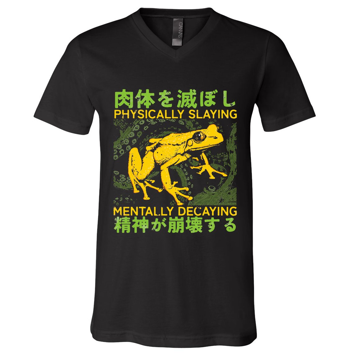 Physically Slaying Mentally Decaying Funny Amphibian Frog V-Neck T-Shirt