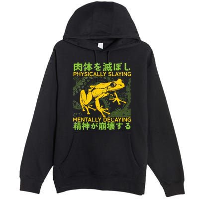 Physically Slaying Mentally Decaying Funny Amphibian Frog Premium Pullover Hoodie