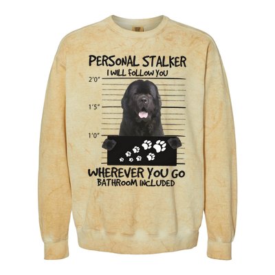 Personal Stalker Newfoundland Colorblast Crewneck Sweatshirt