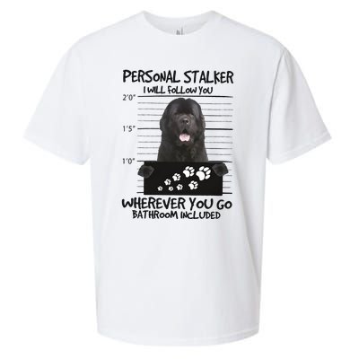 Personal Stalker Newfoundland Sueded Cloud Jersey T-Shirt