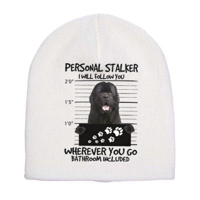 Personal Stalker Newfoundland Short Acrylic Beanie