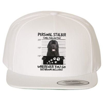 Personal Stalker Newfoundland Wool Snapback Cap