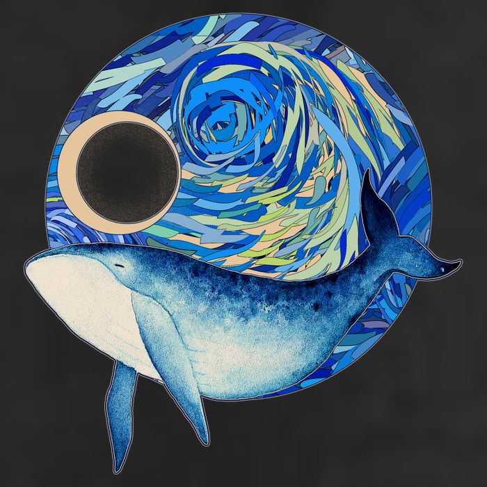 Painted Starry Night Whale 11oz C Handle Ceramic Mug