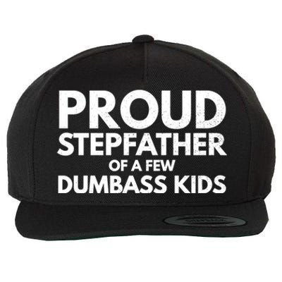 Proud Stepfather Of A Few Dumbass Sarcastic Stepdad Gift Wool Snapback Cap