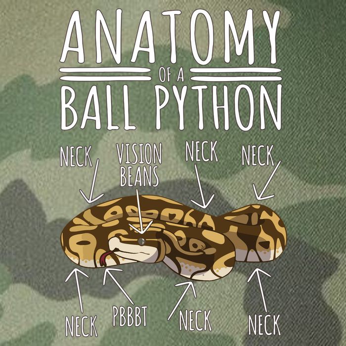 Python Snake Owner Anatomy Of A Ball Python Legacy Tie Dye Trucker Hat