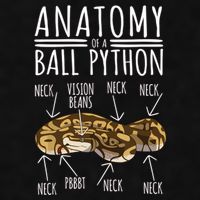 Python Snake Owner Anatomy Of A Ball Python Ladies PosiCharge Tri-Blend Wicking Tank