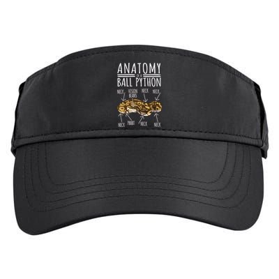 Python Snake Owner Anatomy Of A Ball Python Adult Drive Performance Visor
