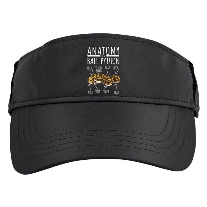 Python Snake Owner Anatomy Of A Ball Python Adult Drive Performance Visor