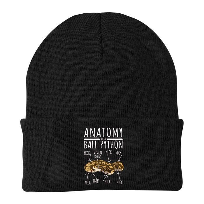 Python Snake Owner Anatomy Of A Ball Python Beanie