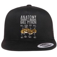 Python Snake Owner Anatomy Of A Ball Python Flatbill Hat