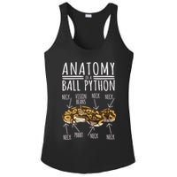 Python Snake Owner Anatomy Of A Ball Python Ladies PosiCharge Competitor Racerback Tank