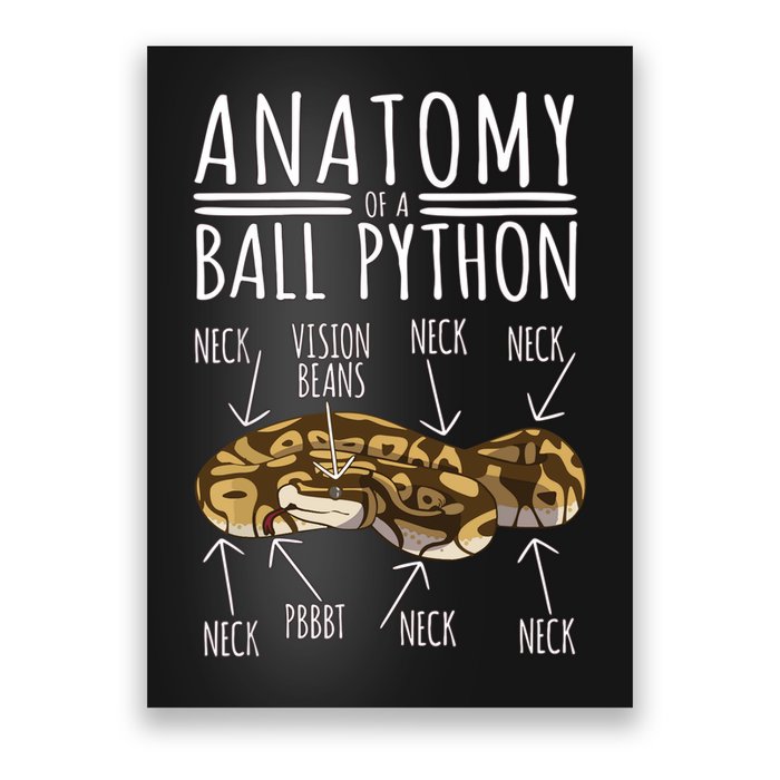 Python Snake Owner Anatomy Of A Ball Python Poster